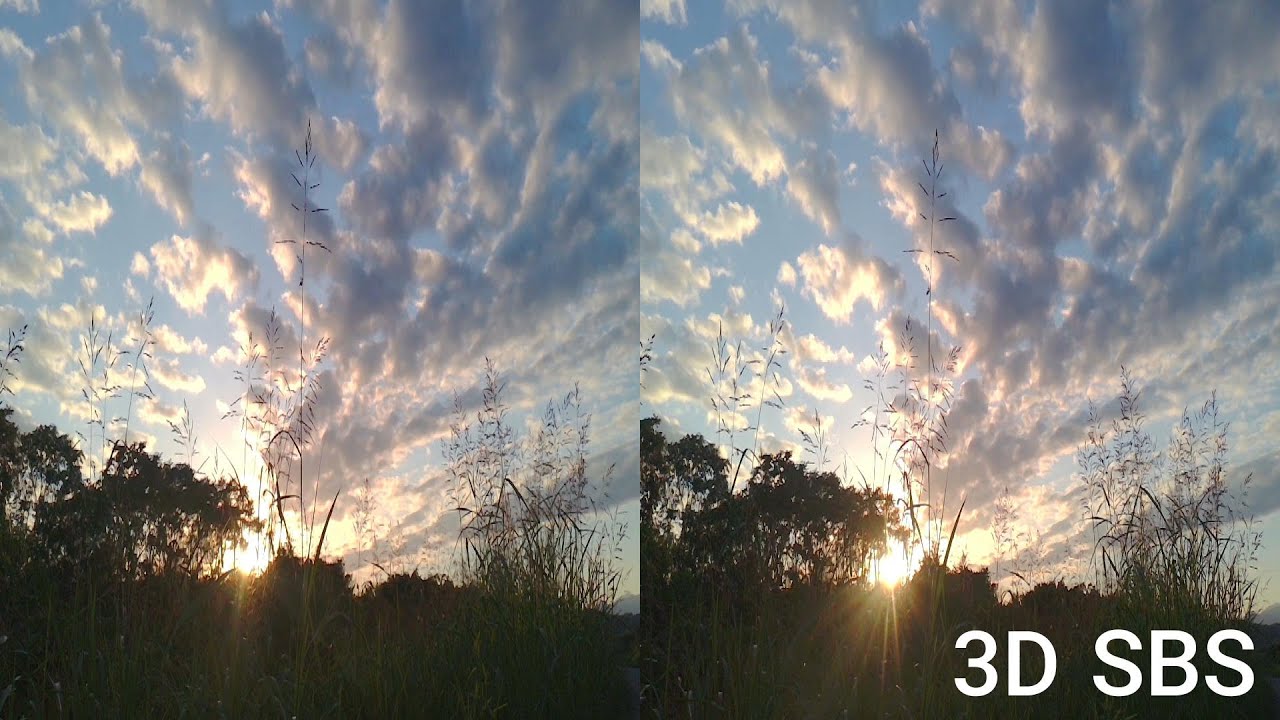 3D Scene #27 | 3D SBS VR | QooCam EGO 視力回復・立体視