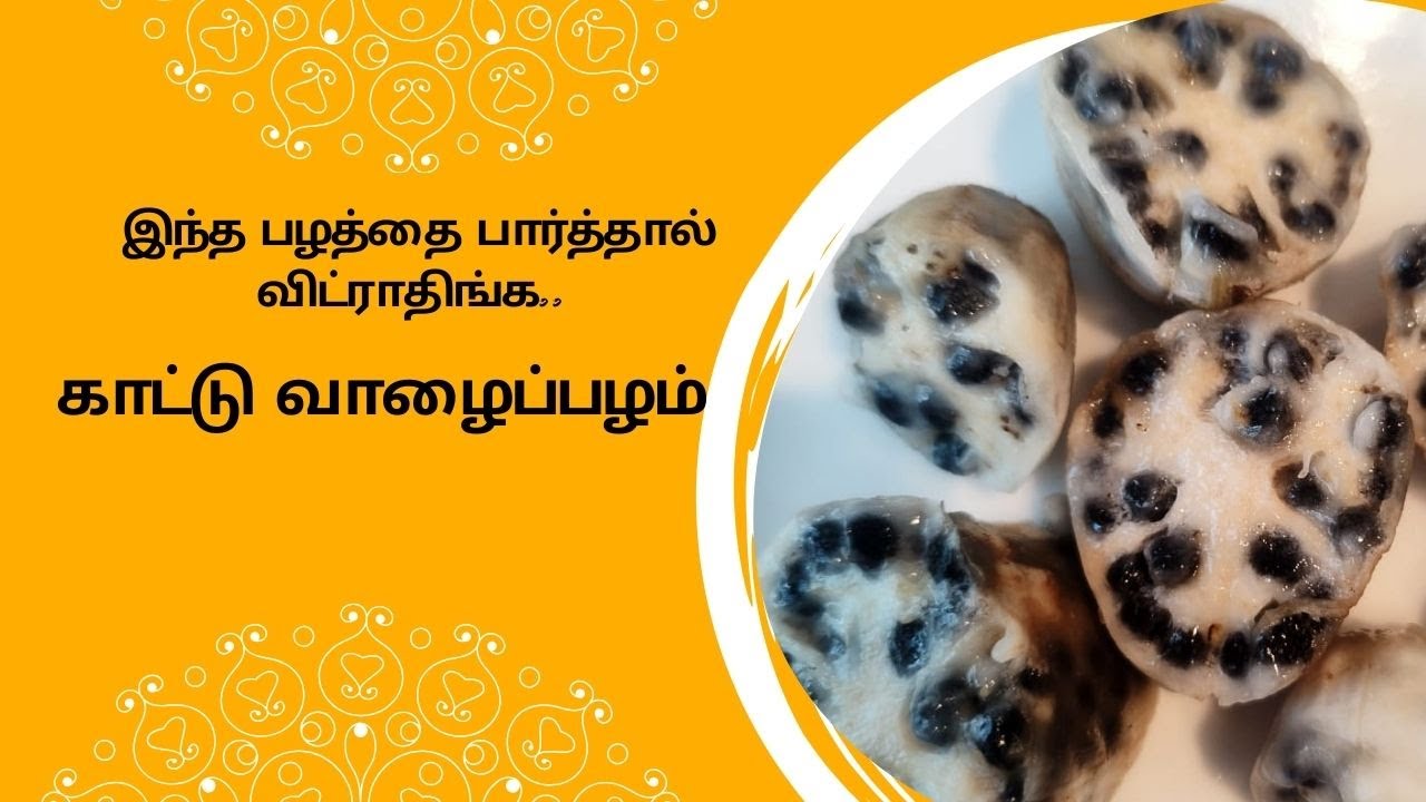 காட்டு வாழைப்பழம்.. கிடைச்ச மிஸ் பண்ணாதீங்க..இந்த பழத்தை நீங்க பார்த்து இருக்கீங்களா ???