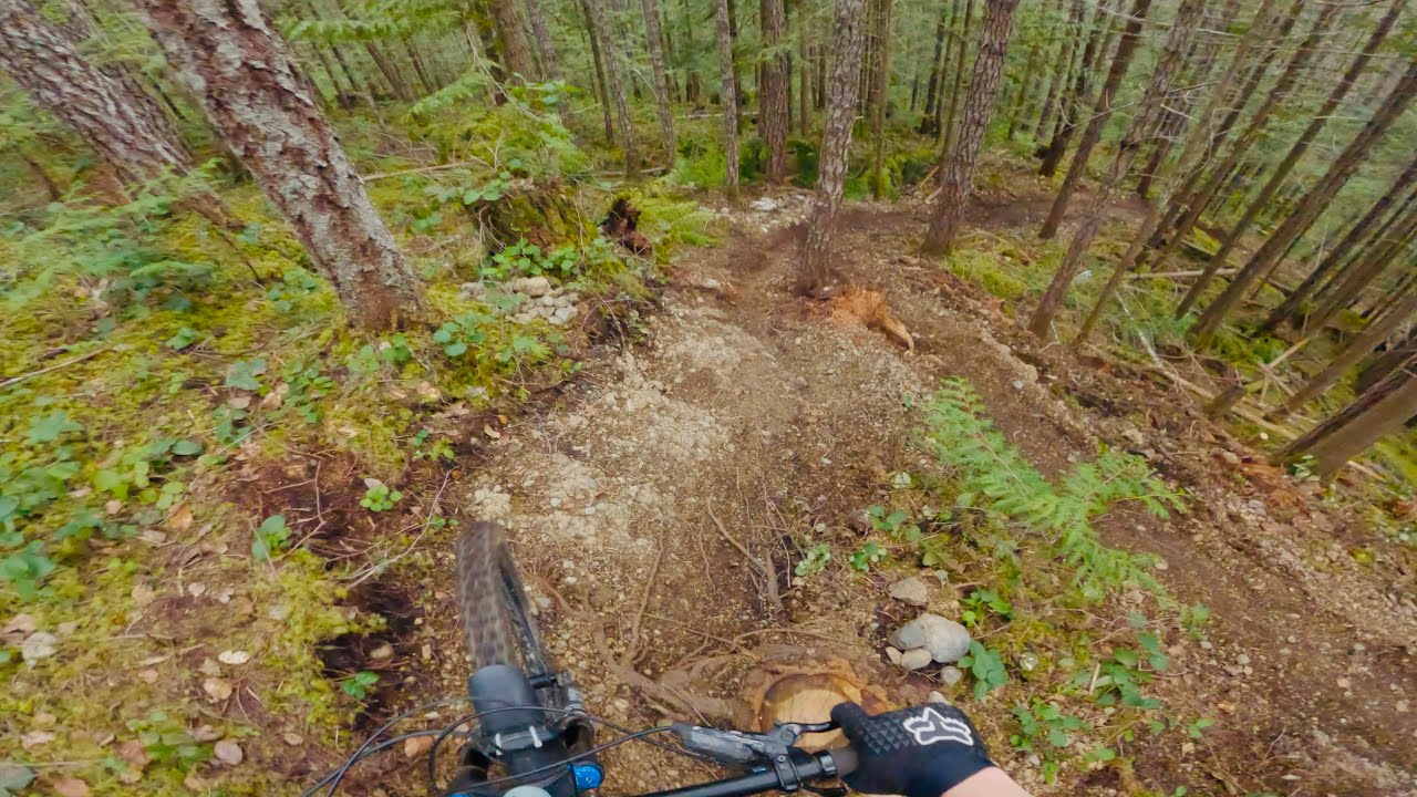 New upper &ldquo;Monkeys in the mist&ldquo; and more at Doumont Nanaimo.