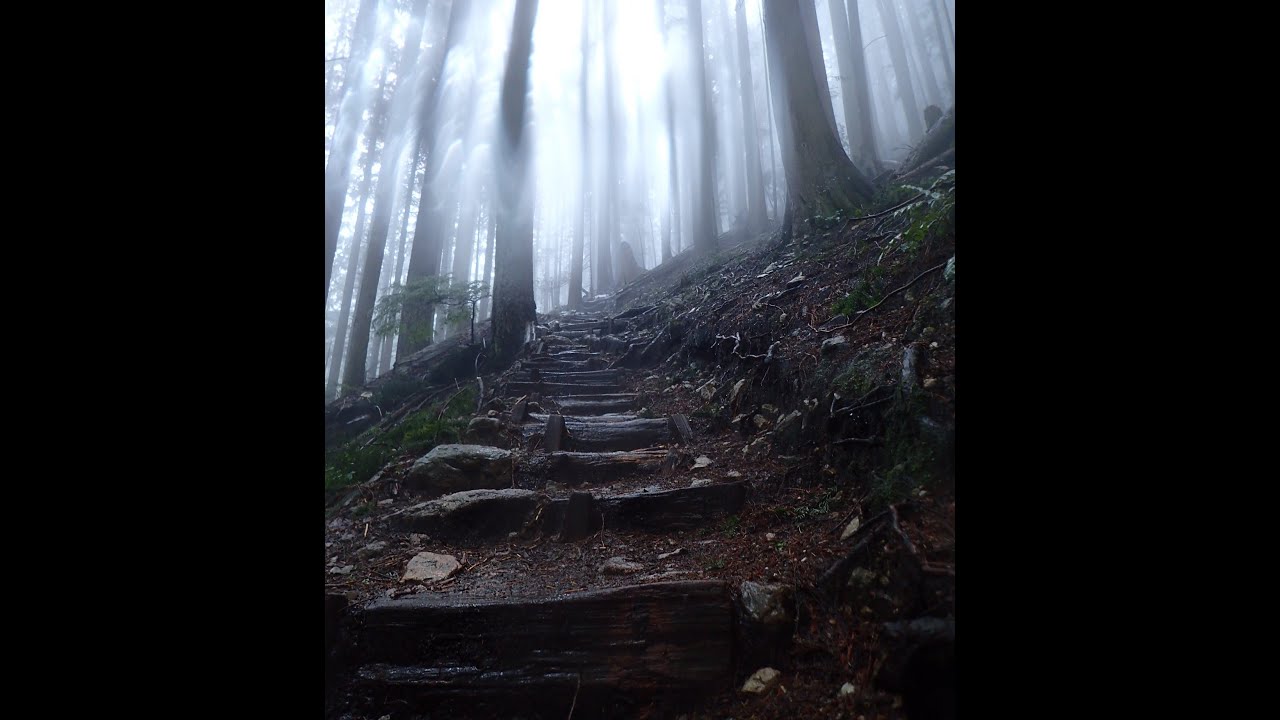 Barkley Marathons Training Day -  North Vancouver, BC