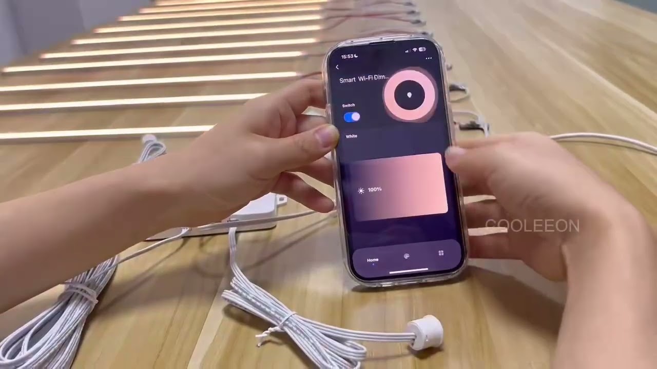 Controller Tuya WiFi per Illuminazione Scale LED 12/24V | Dimmer, PIR, Crepuscolare, Alexa e Google