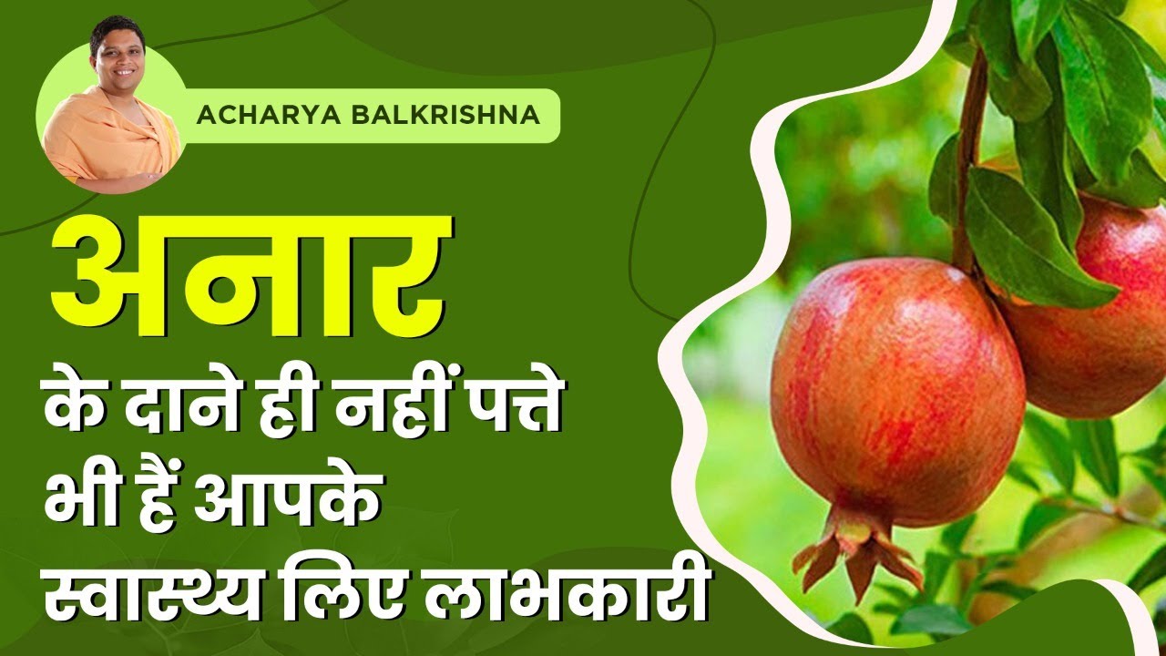 अनार के दाने ही नहीं पत्ते भी हैं आपके स्वास्थ्य लिए लाभकारी || Acharya Balkrishna