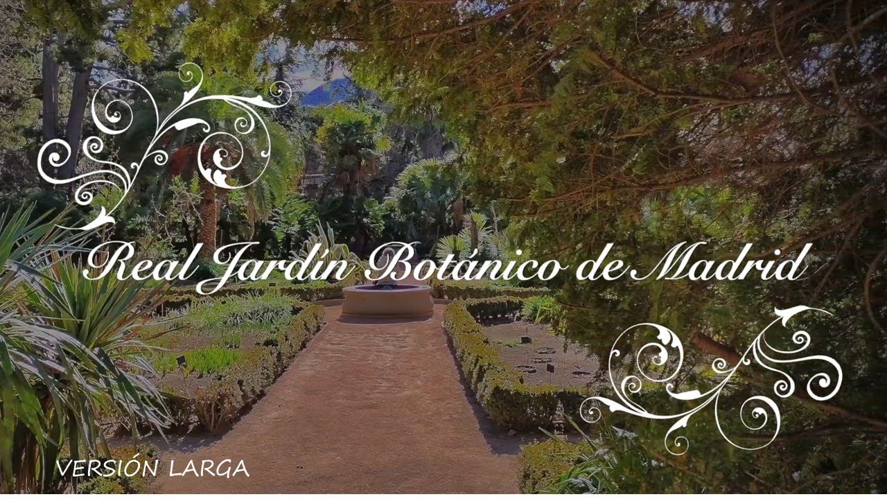 Real Jardín Botánico (RJB-CSIC) para no botánicos. Invierno. Versión larga