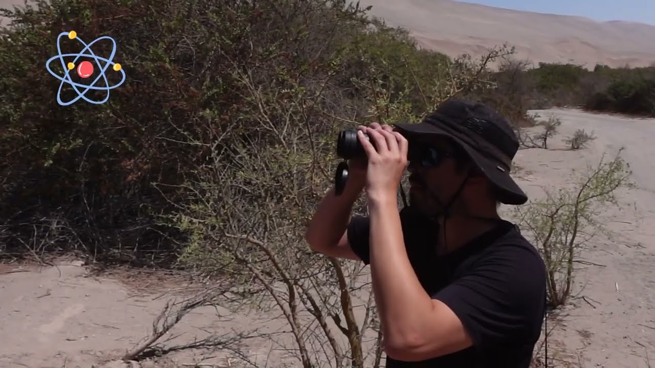 Desde Arica hasta la Luna - Investigaci&oacute;n Monumento Natural picaflor de Arica