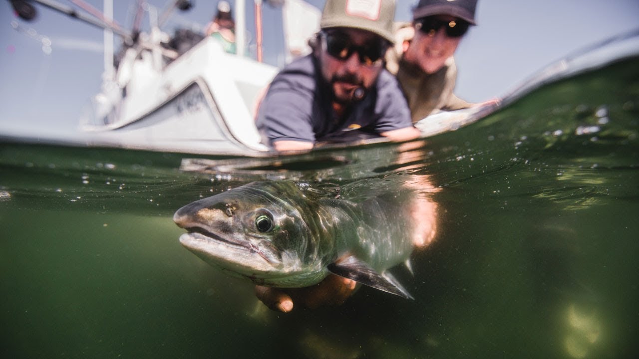 Fishing BC and Hook&eacute; Present: Saltwater Fly Fishing near Prince Rupert, BC with Sunset Charters