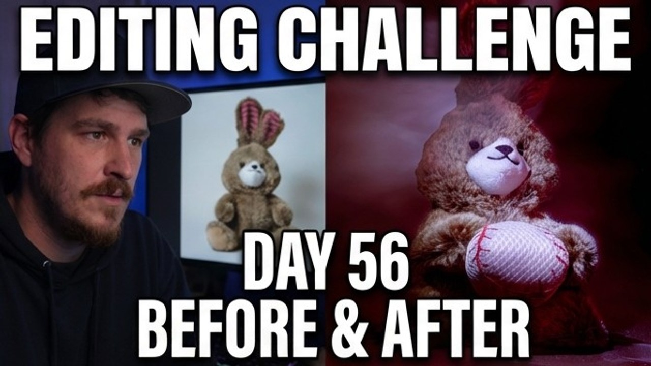 Day#56 Teddy Bear Photo Edit | Before & After