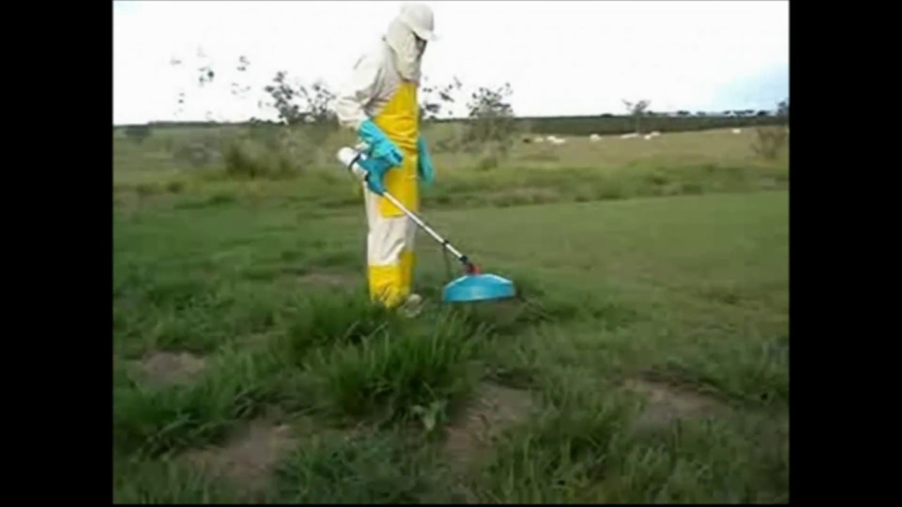 Pulverizador de Glifosato Puro (SEM ÀGUA) Pulmipur com campânula em campo de futebol.