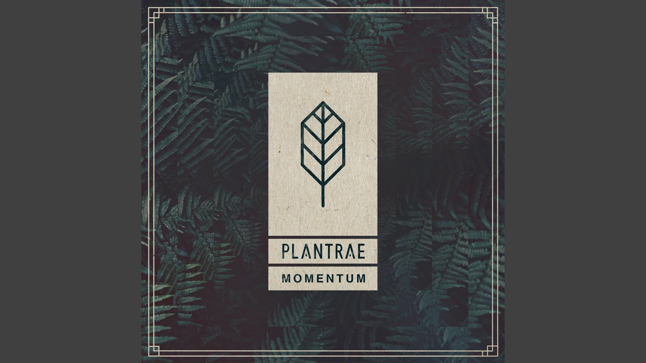 Momentum