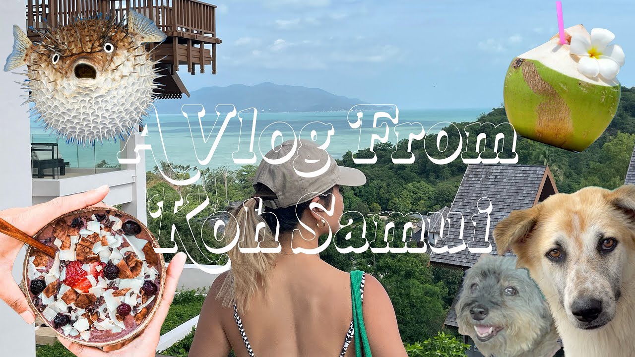 KOH SAMUI VLOG 🇹🇭 | beachside dining, petting cute dogs, week in paradise