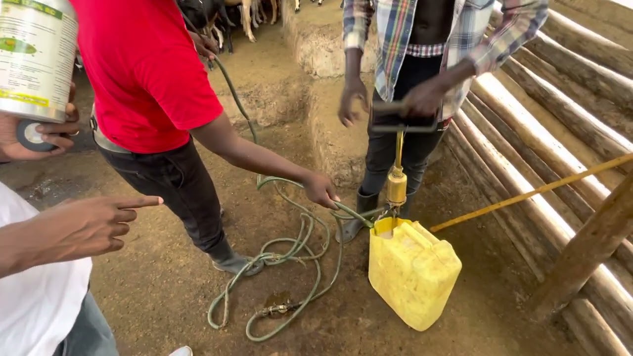 Prevention of Tick Borne Disease in Goats