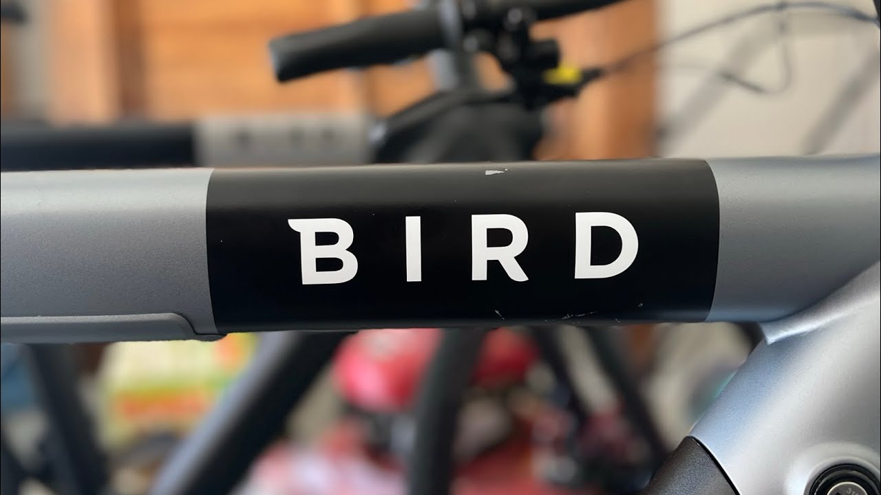 Bird Bike - Fixing Creaking Problem