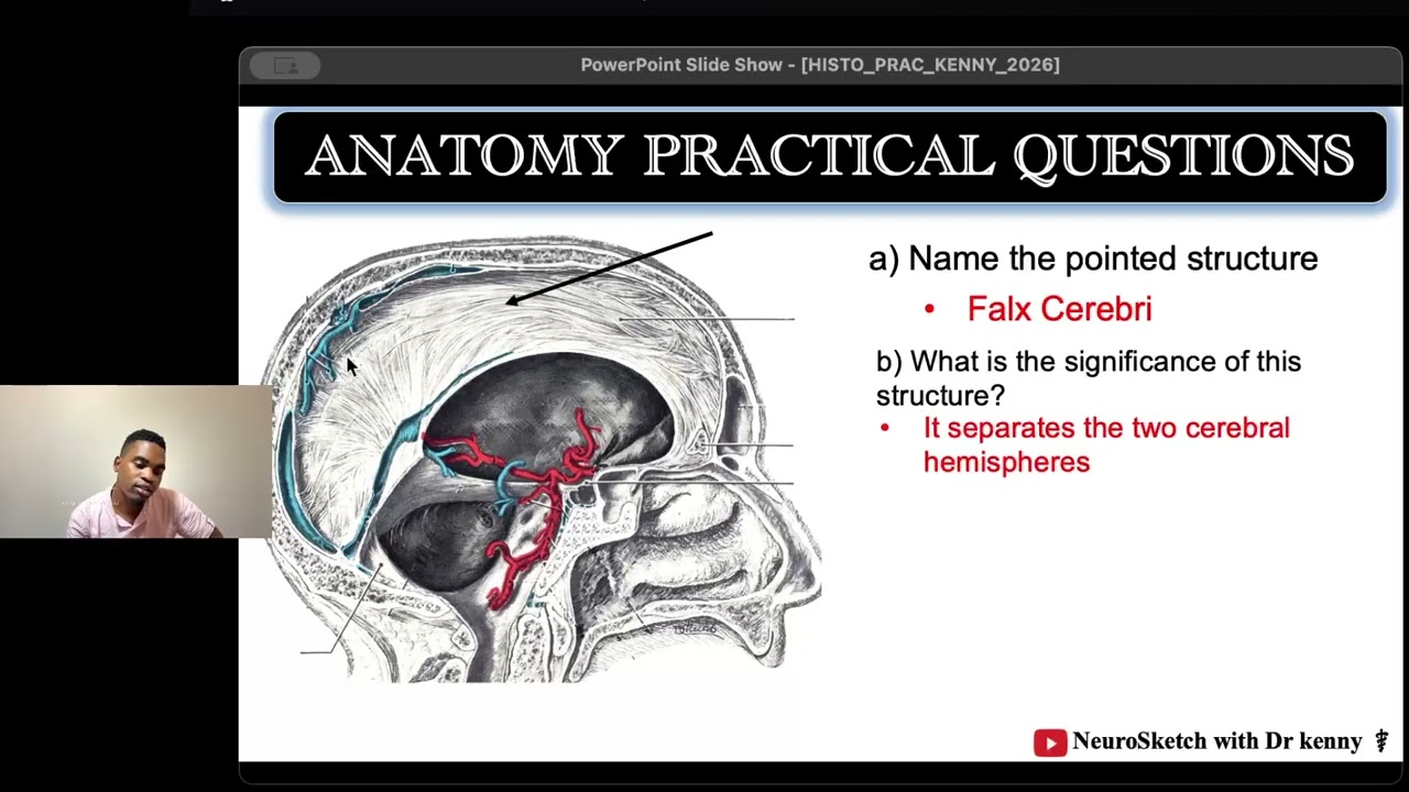 Gross Anatomy Pr
