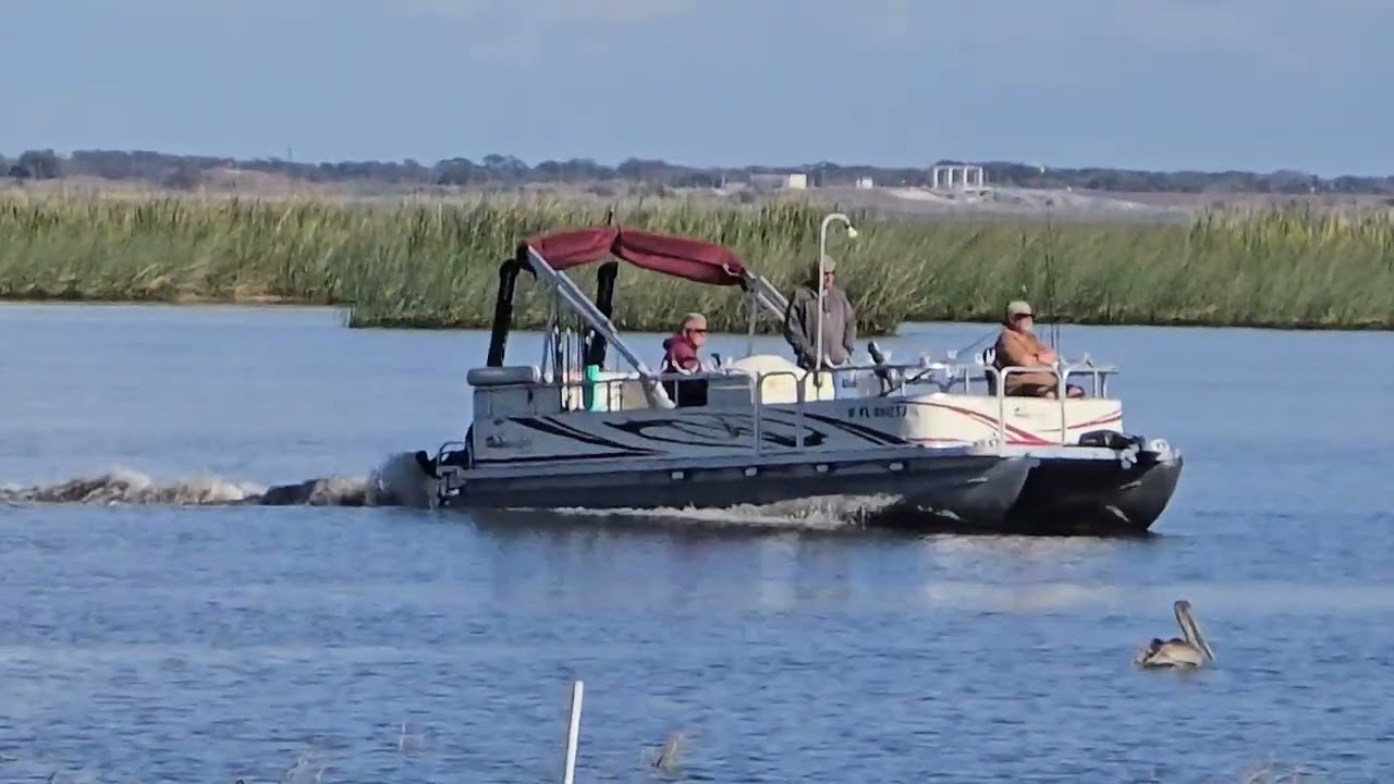 Birds of Lake Okeechobee