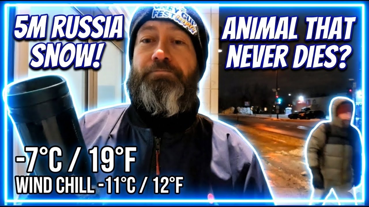 5m Russia Snow 🔸The Animal That Never Dies | EP 241