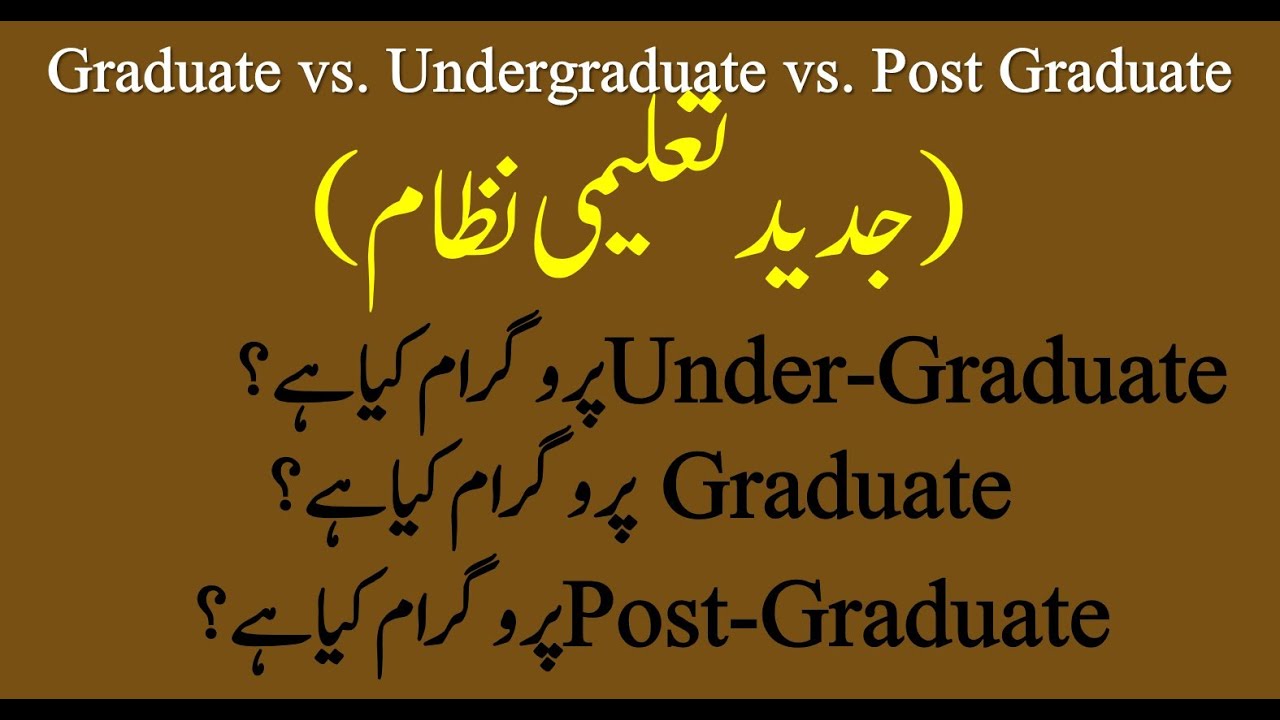 Graduate vs Undergraduate programs|How to make difference between graduate & undergraduate