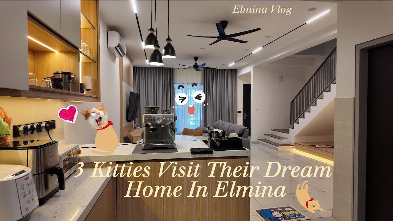 #elmina 3 Kitties Visit Their Dream Home In Elmina #cat #cats #newhome #simedarbyproperty #myhome#新家