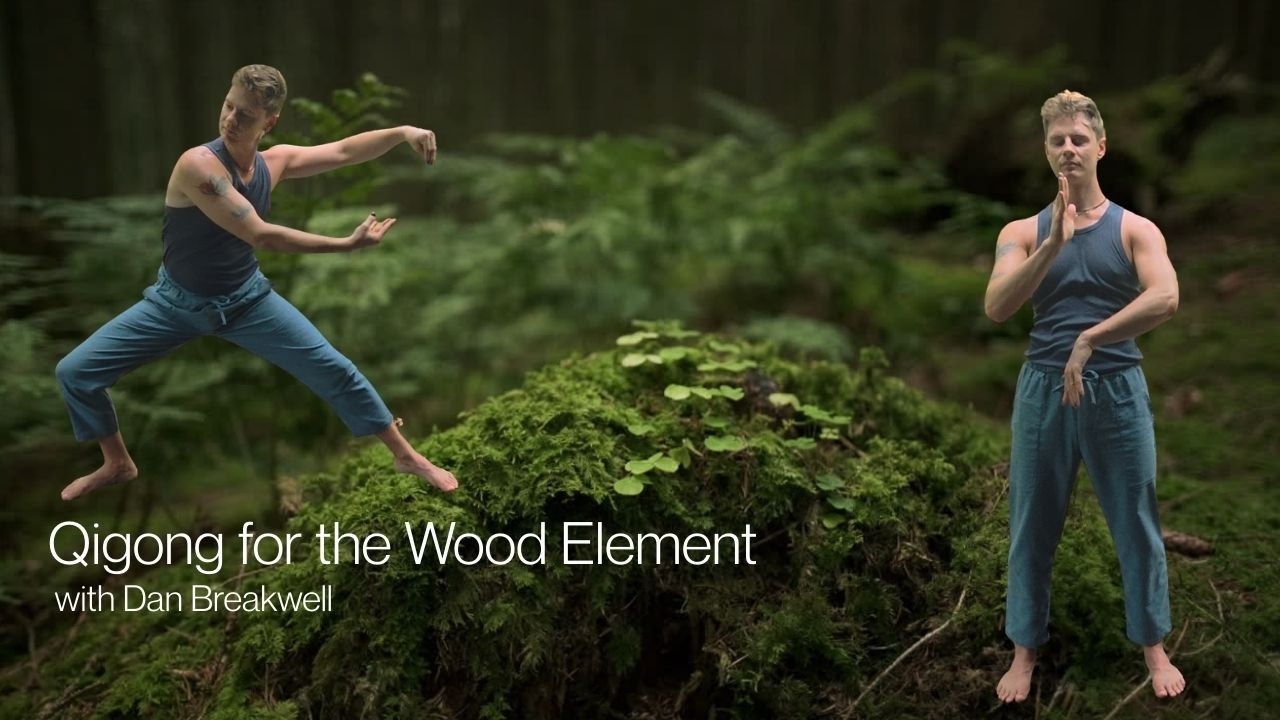 Qigong practice for the Wood Element  (20 minutes)