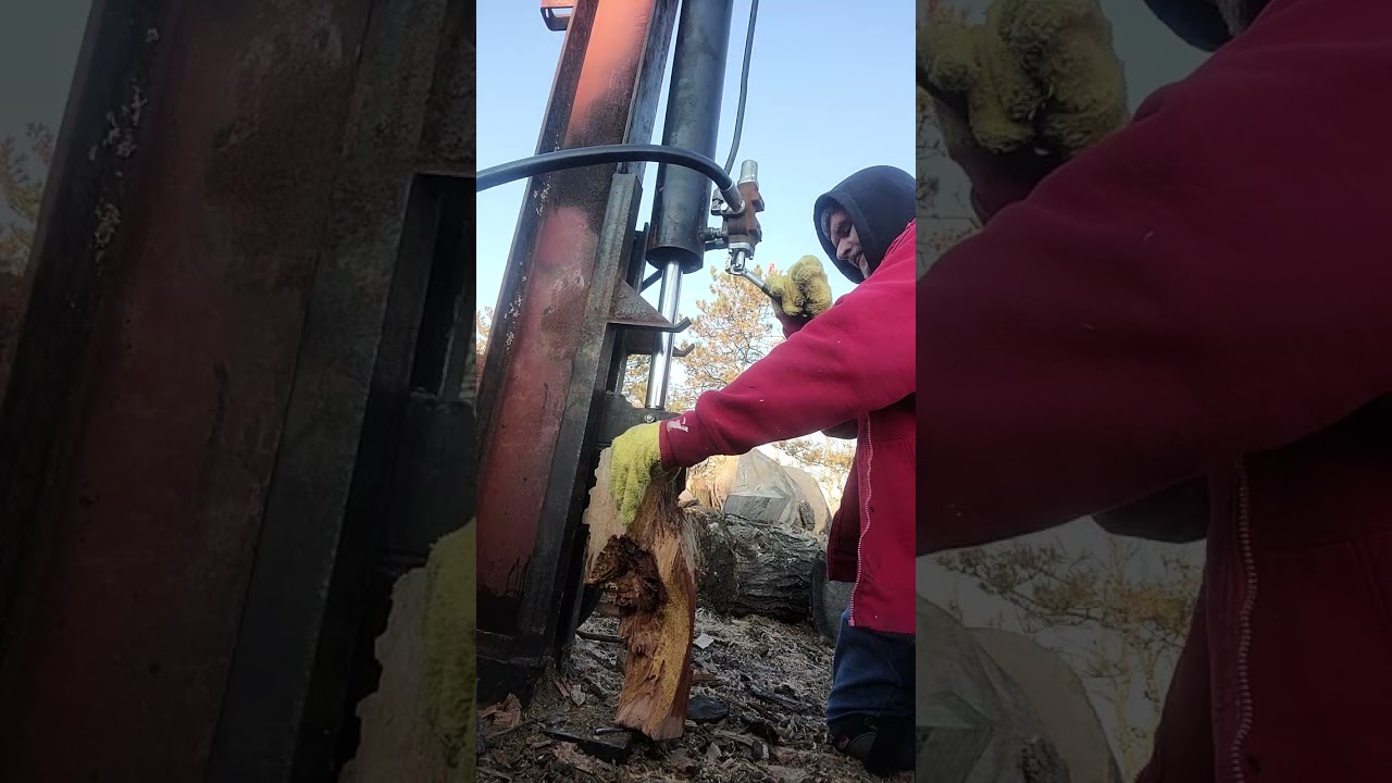 tree job work business tree care removal services Fell-ows and stumps columbus ohio