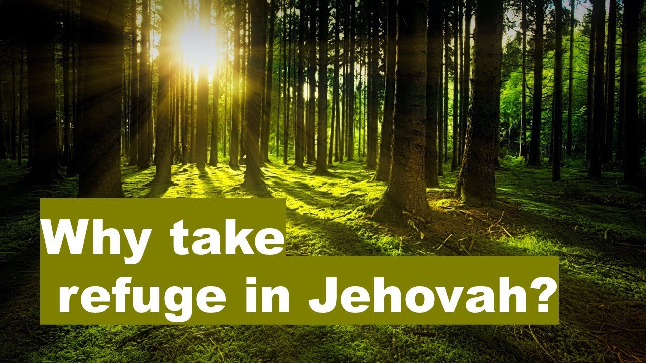 Why take refuge in Jehovah?