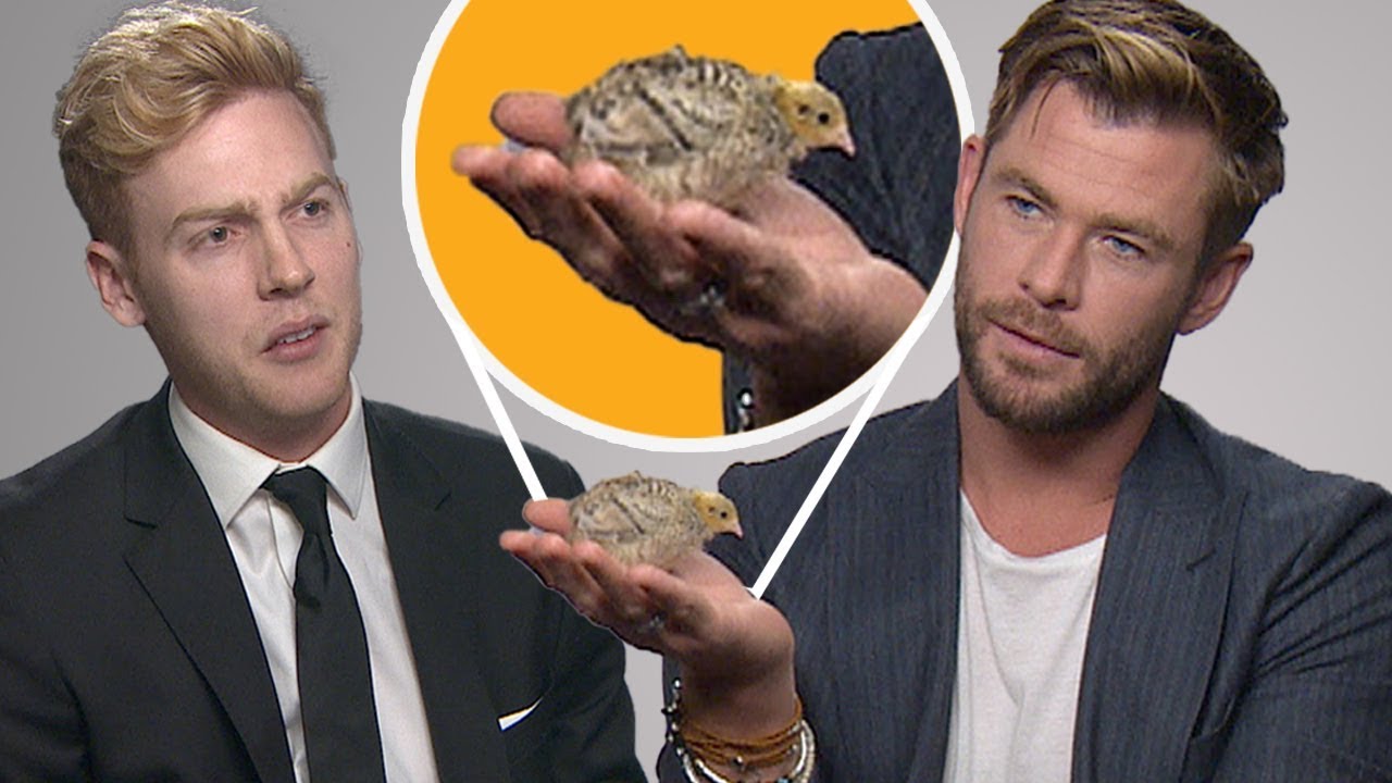 CHRIS HEMSWORTH NAMED MY QUAIL ft Tessa Thompson