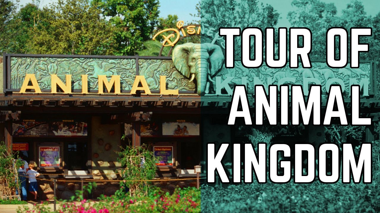 Animal Kingdom - Complete walking tour of entire park | 07/09/2017