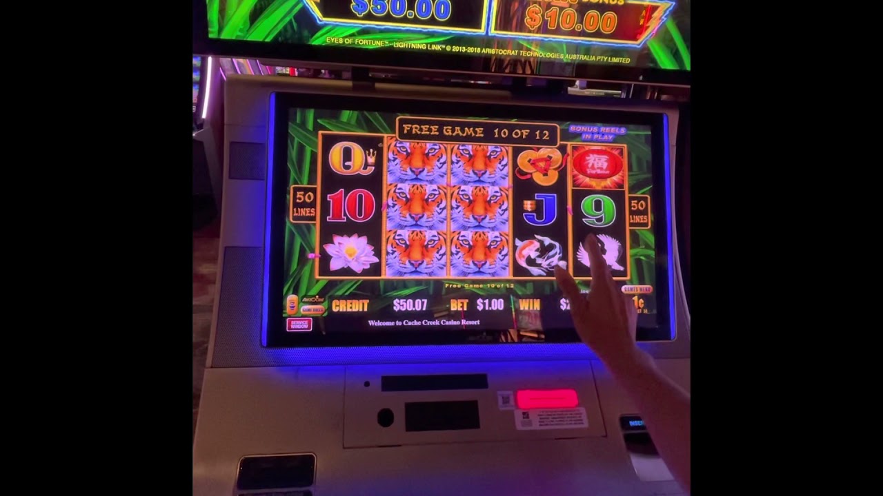 Lightning link full screen win tiger wilds
