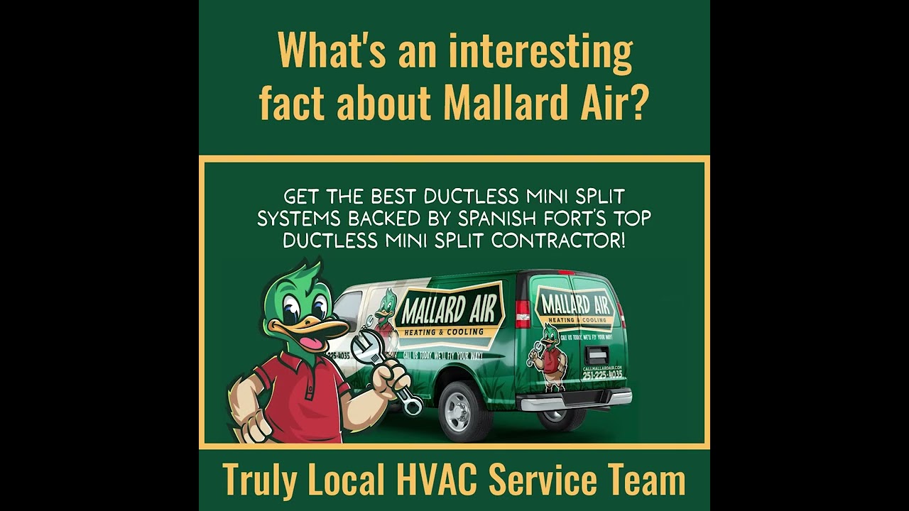 What's an Interesting Fact About Mallard Air? - Mallard Heating & Cooling