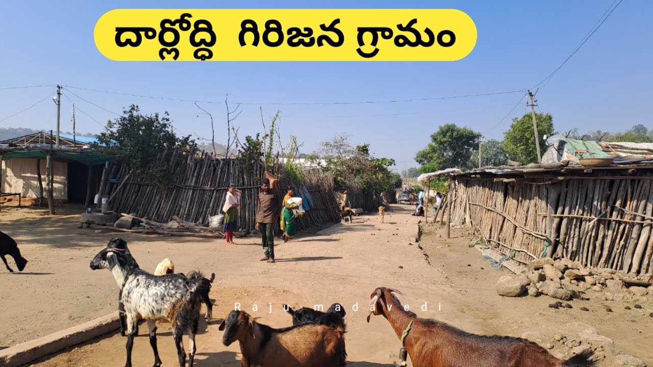 ధర్లోద్ధి గిరిజన గ్రామం  || dahrloddi tribal village ||Raju Madavedi