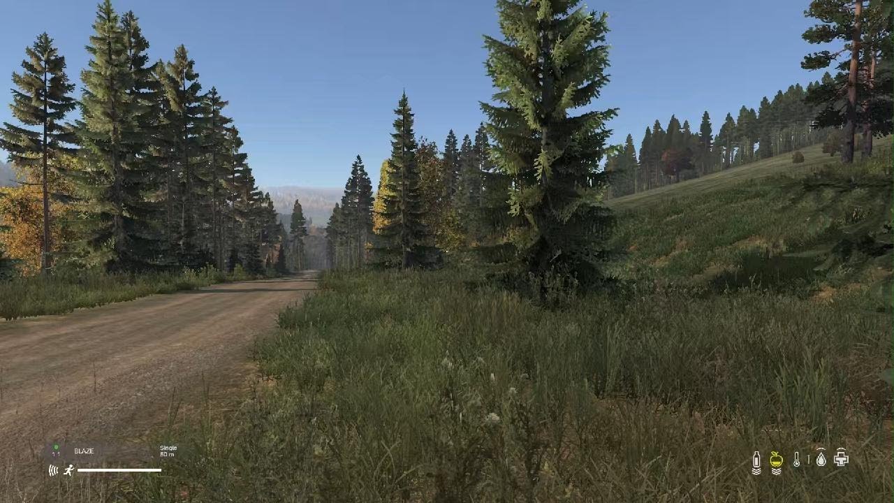 DayZ_PS5 Vanilla +