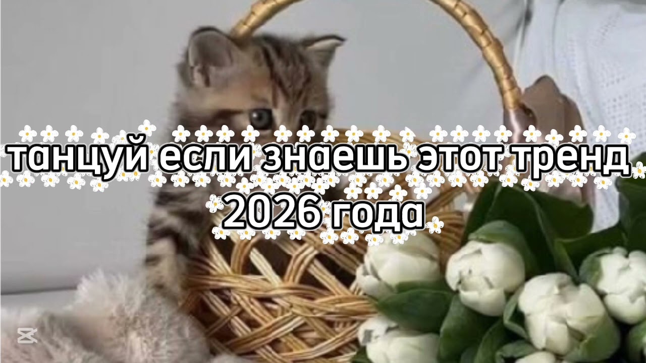 Танцуй если знаешь этот тренд 2026 года #kamistory2015 #потрендам #залетипж #тренды #дуэт #2026 #рек