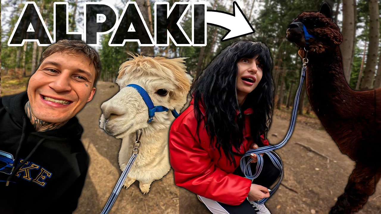 ZABRALIŚMY ALPAKI NA SPACER 😳 PRADAWNI PRZODKOWIE @Retro.Henkie 😂
