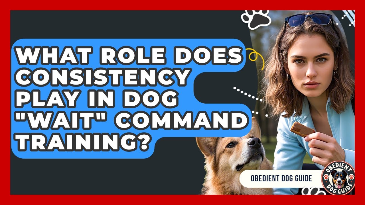 What Role Does Consistency Play In Dog "wait" Command Training? - Obedient Dog Guide