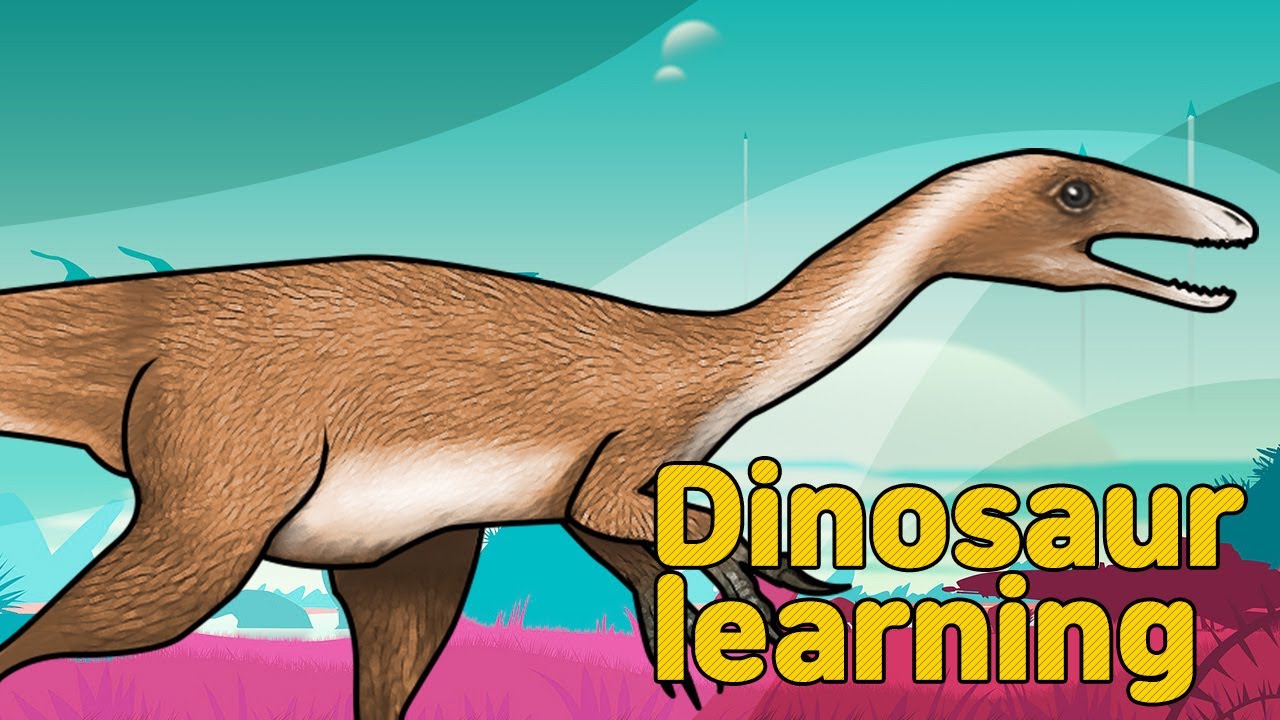 Dinosaur Sinosauropteryx Collection | What is this dinosaur? | carnivorous dinosaur | Dinosaur Si...