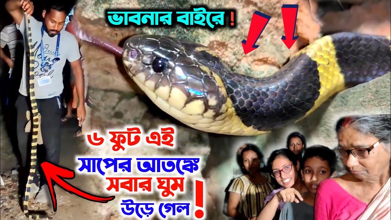 এই প্রথম এতো বড়ো সাপ 😦 রেসকিউ করলাম❗ লোকেরা কী বলছে দেখুন | Samiran Barik Rescuer |