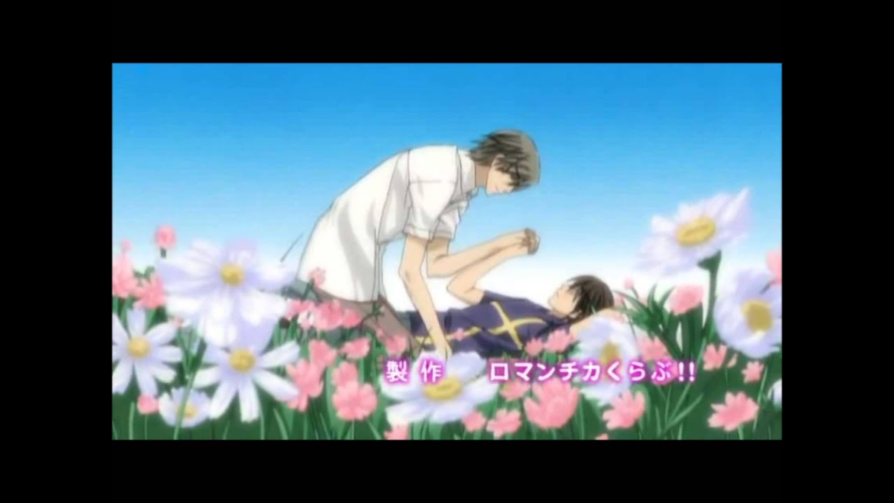 Junjou Romantica - Diamonds AMV