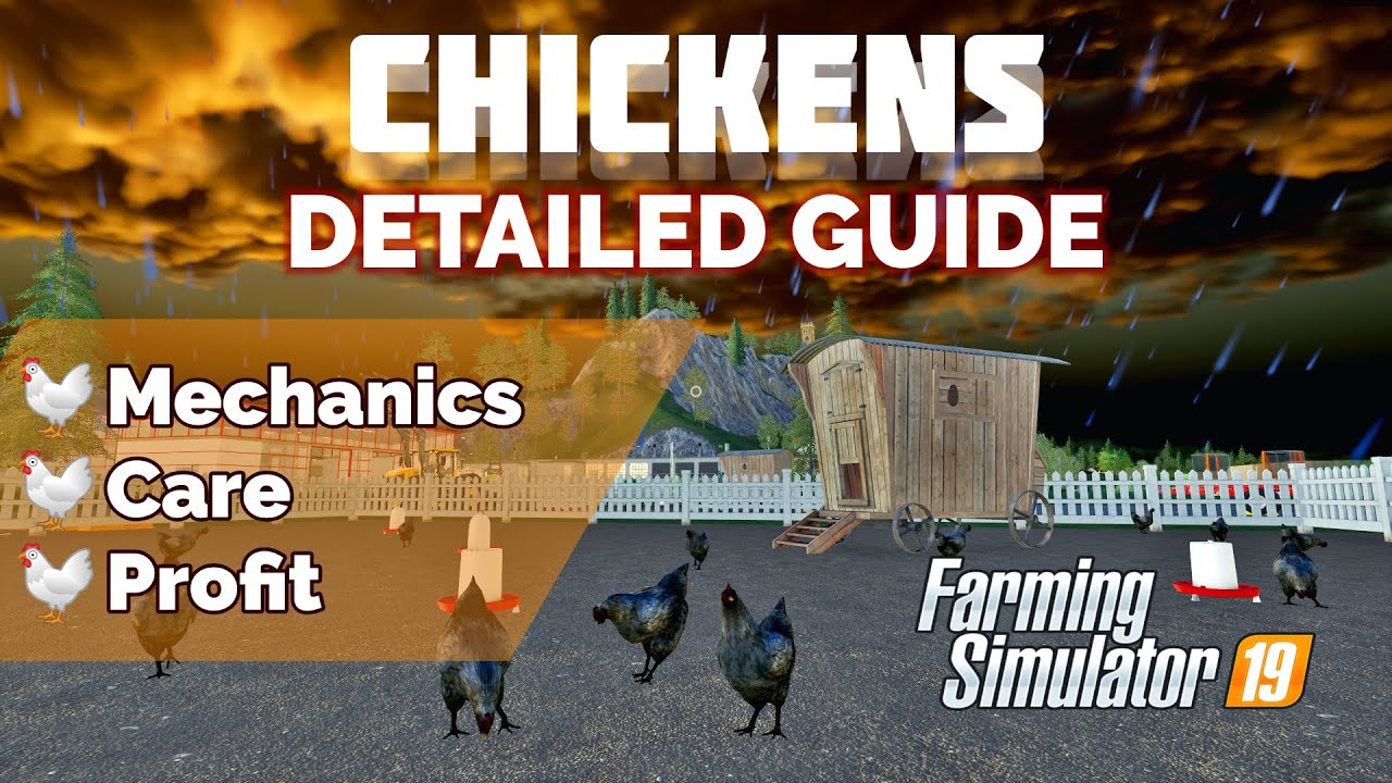 Chickens: detailed guide | Mechanics, Care, Profit | Farming Simulator 19