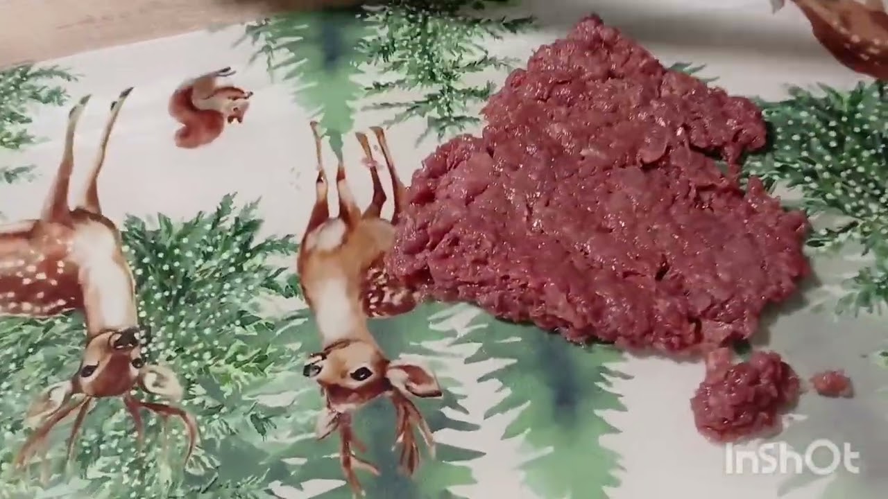 ŁOWCA OD KUCHNI TATAR Z SARNY#hunting #wildlife #hikmicro 