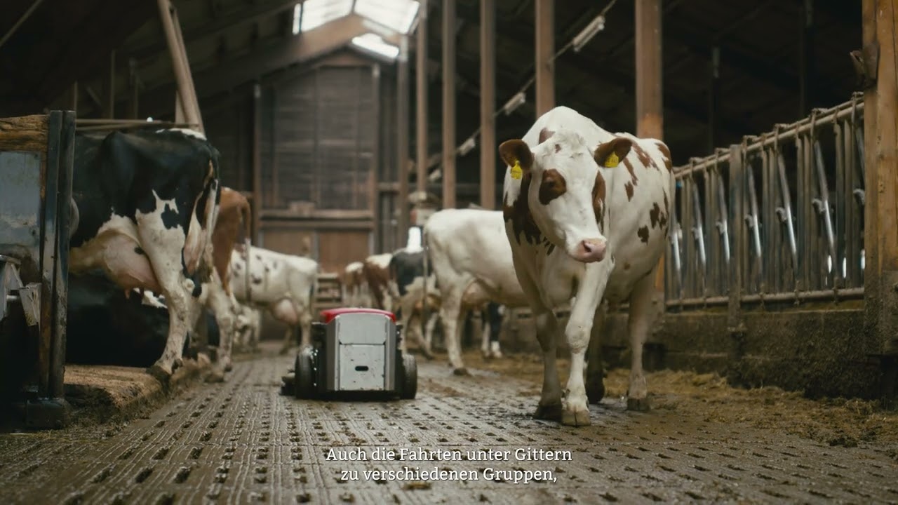 Lely Discovery: Saubere Ställe. Gesunde Kühe. Unser Stallheld seit 20 Jahren