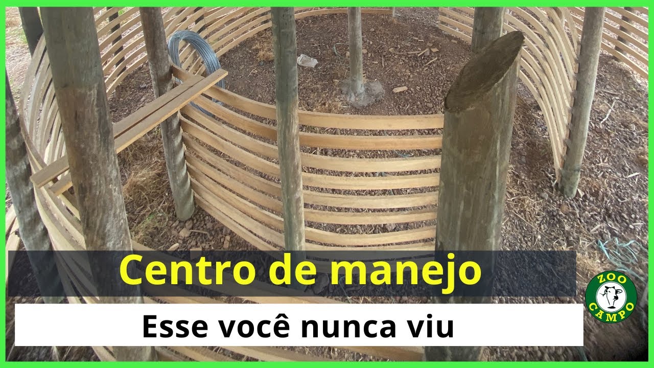 Centro de manejo para ovinos - Curral exclusivo