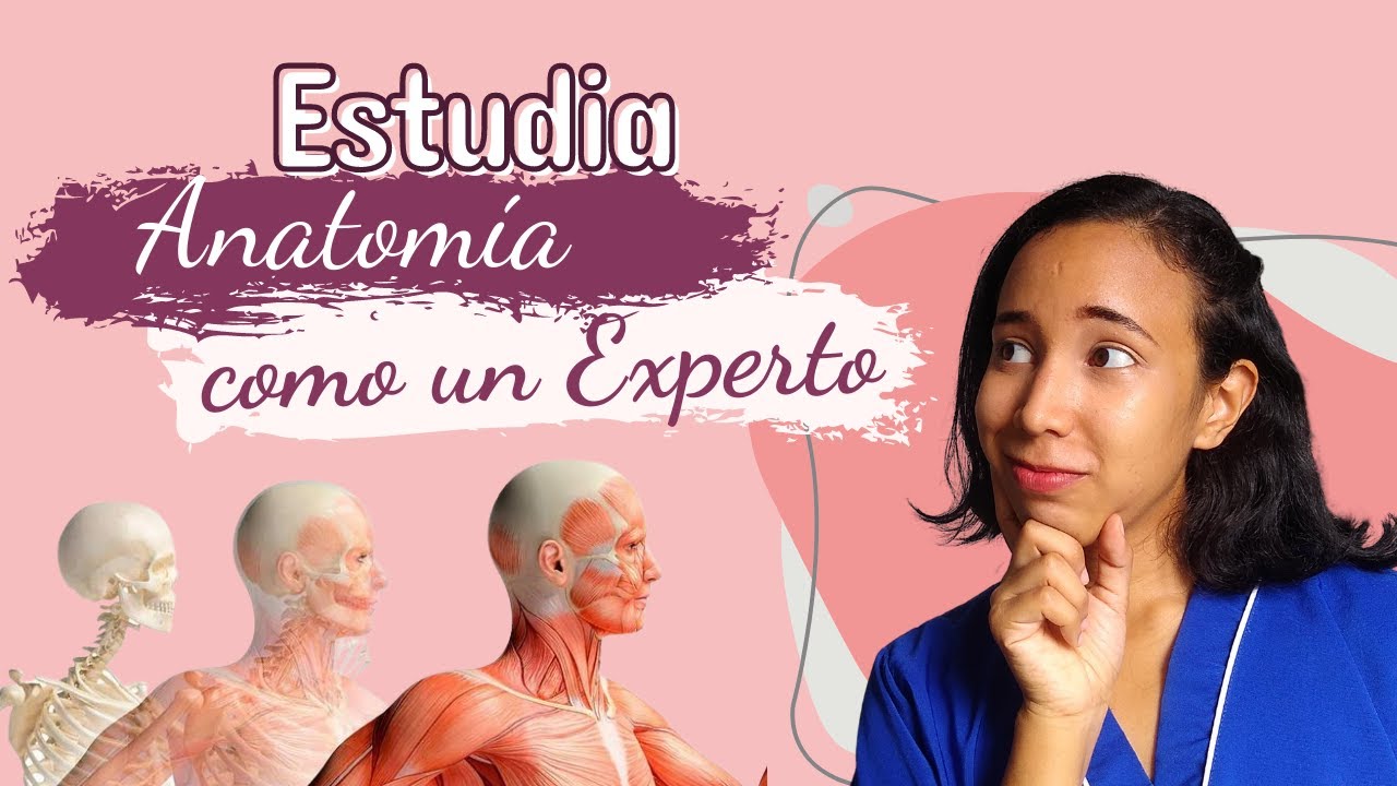Las 3 mejores técnicas para estudiar Anatomía como un experto