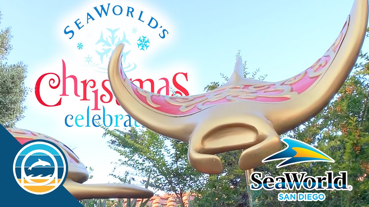 Christmas Celebration is BACK at SeaWorld San Diego! | Fireworks, Cool Shows, & More! 2021