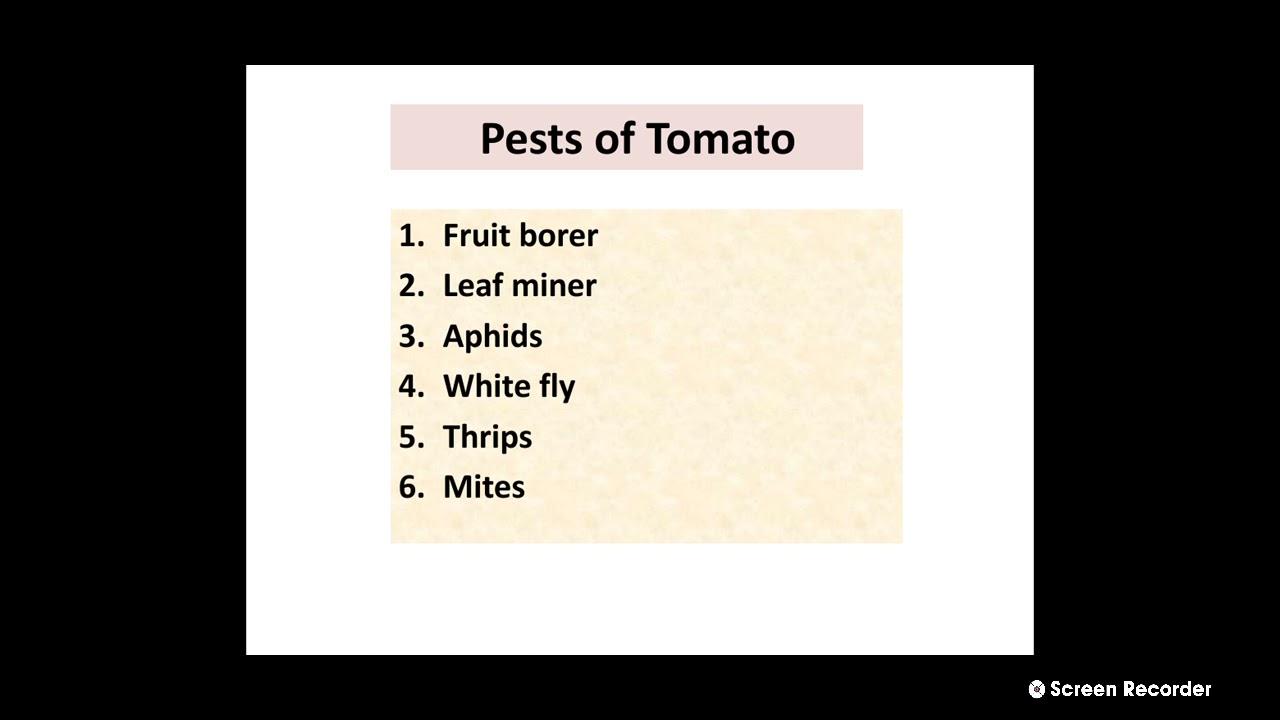 ENTO-243 Pests of Tomato
