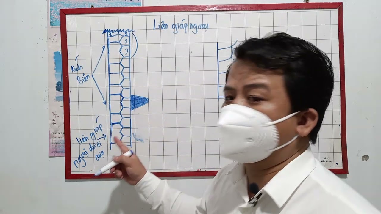 VŨ KỲ HƯỚNG DẪN VỀ VẢY GÀ ĐÁ PHẦN 3.