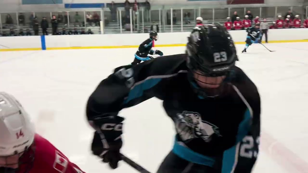 Abby vs Vancouver - 1st period - Jan 15 2026