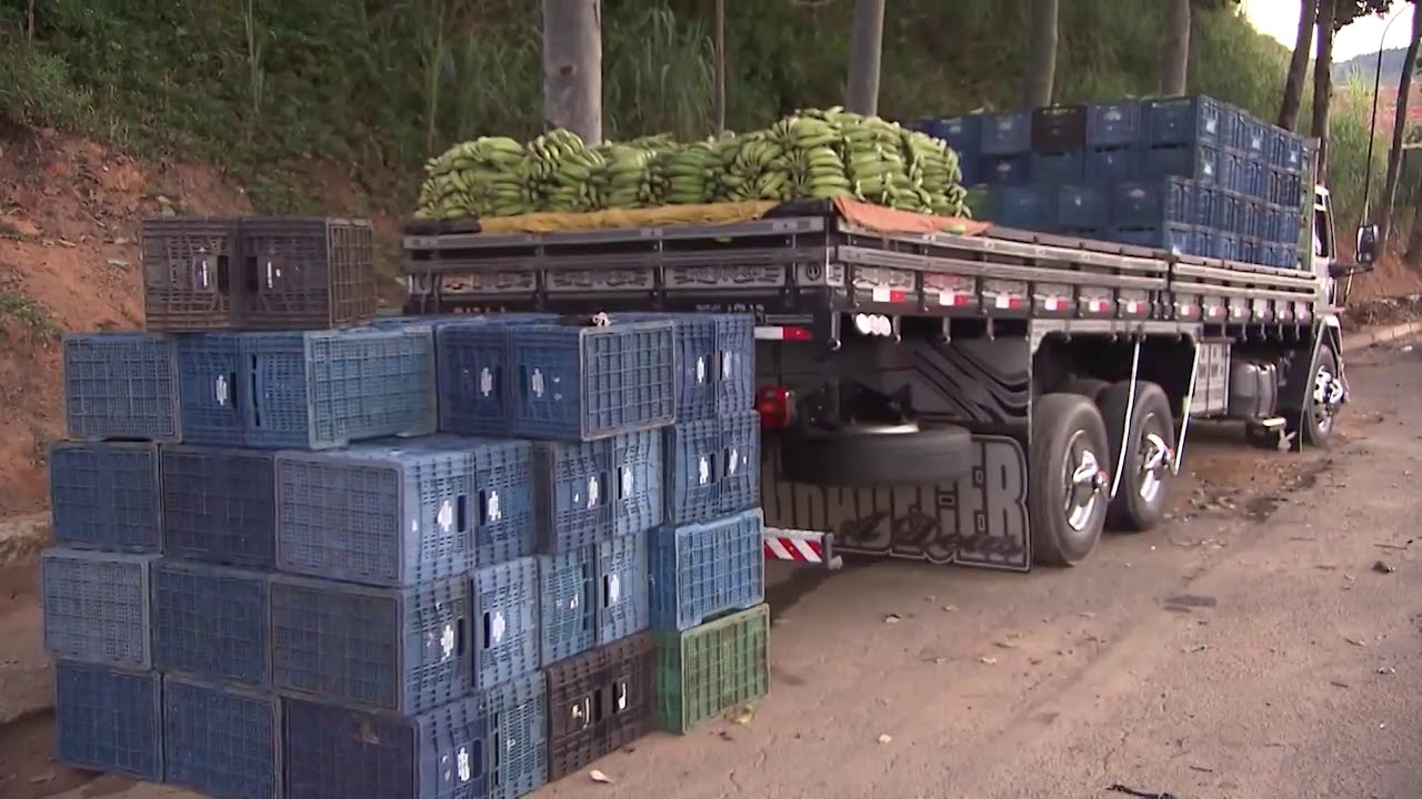 Bahia passa Minas e vira o 2&deg; maior produtor de frutas do Brasil