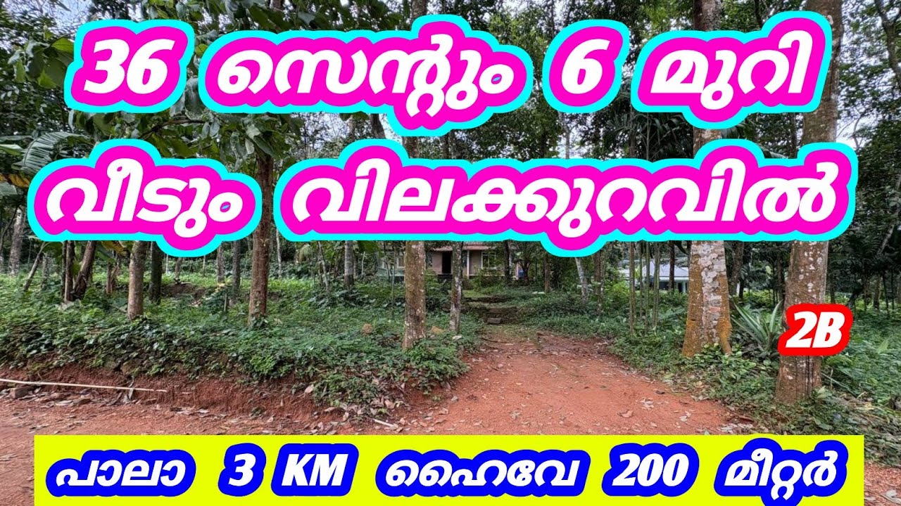 36 സെന്റും 6 മുറി വീടും വിലക്കുറവിൽ 😍 പാലാ 3KM HIGHWAY 200 METER  2B #kottayam #pala #kerala #land
