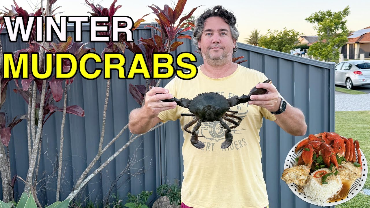 FAMILY MUD CRAB mission with some tips and tricks!!