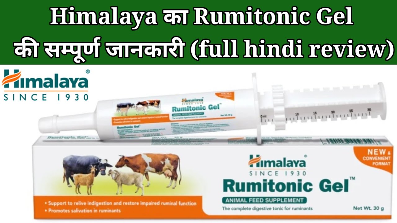 Himalaya Rumitonic gel की पूरी जानकारी || himalaya rumitonic gel review in hindi