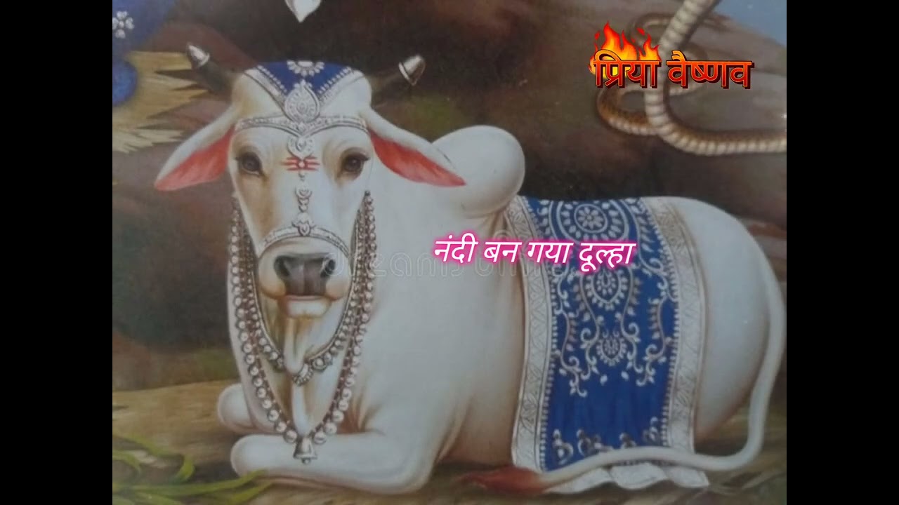 🔱 नंदी बना दूल्हा! 🔱🔥 महादेव की सजी बारात 🔥