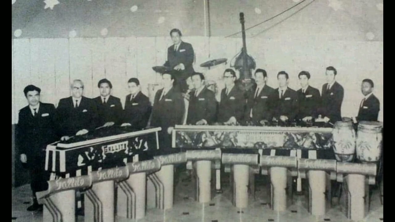 Marimba Gallito